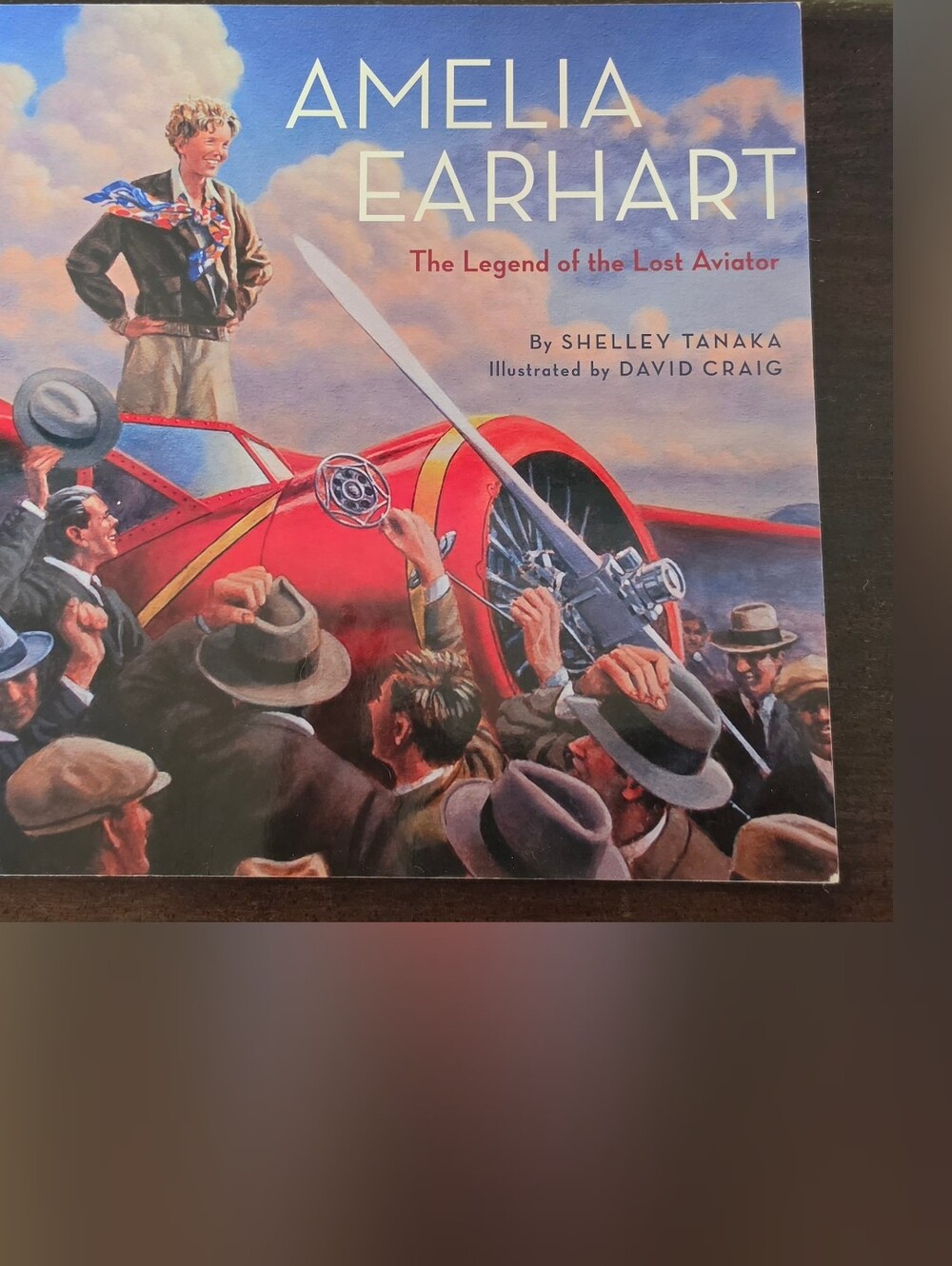 Amelia Earhart The Legend Of The Lost Aviator Book